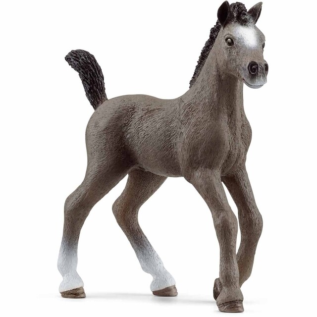 Product image 1 of schleich HORSE CLUB Selle Français-veulen - 13957