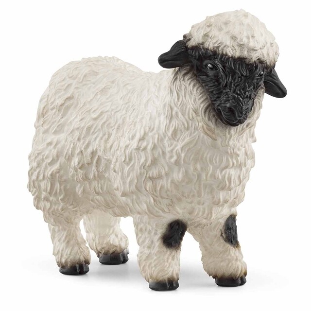 Product image 1 of schleich Walliser Schwarznase-schaap - 13965