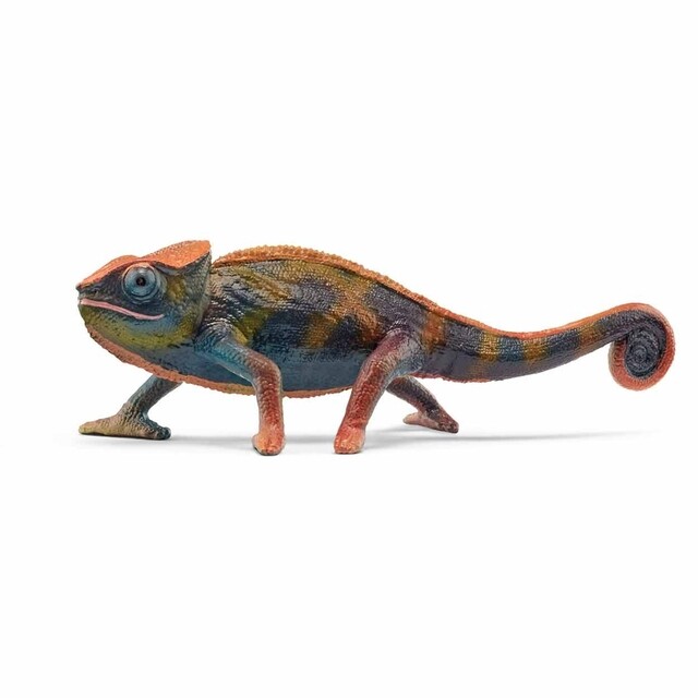 Product image 1 of schleich WILD LIFE Kameleon - 14858
