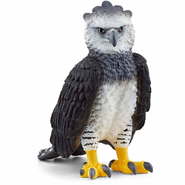 Product image 1 of schleich WILD LIFE Harpij - 14862