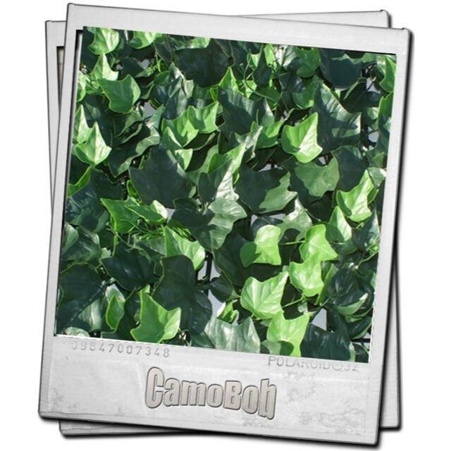 Product image 1 of Camogreen Klimop Helix 50 x 50 cm