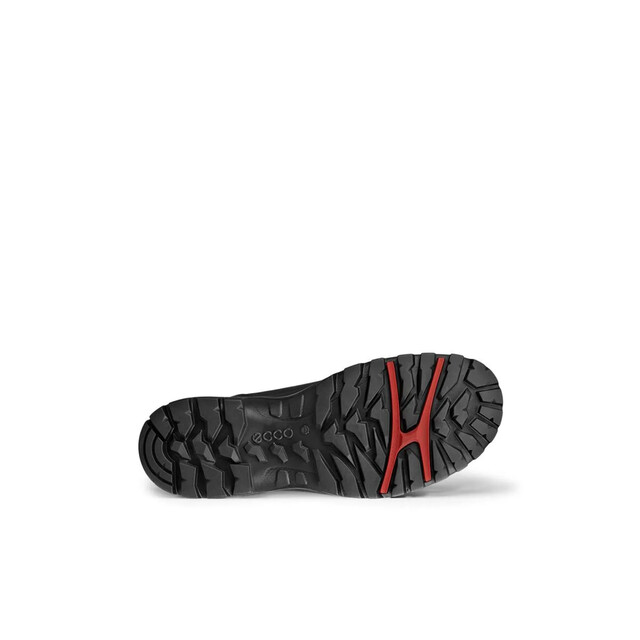 Product image 1 of Ecco Xpedition Iii Wp Boot Black 42