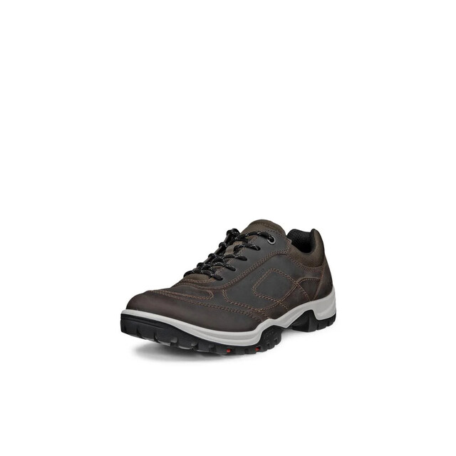 Product image 1 of Ecco Xpedition Iii Shoe Dark Clay 43
