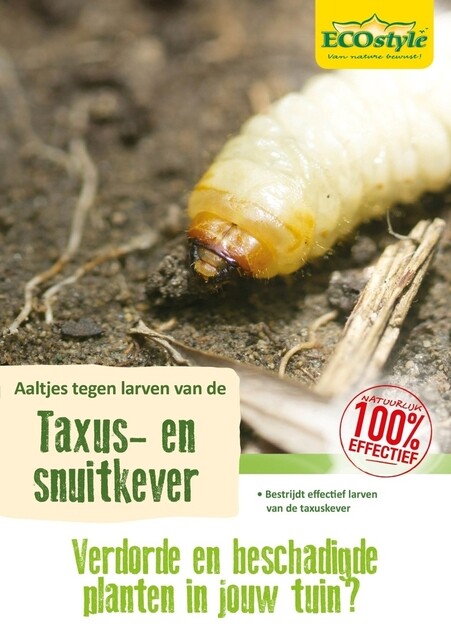 Product image 1 of ECOstyle Aaltjes (H) Bestrijdingsmiddel Tegen Taxus Snuitkever Larven - 500m²