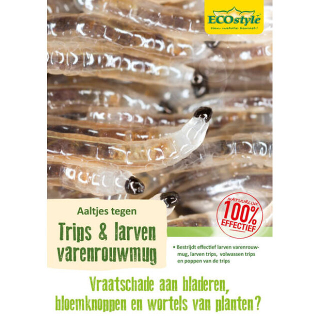 Product image 1 of ECOstyle Aaltjes (F) Bestrijdingsmiddel Tegen Varenrouwmug Larven - 15m²