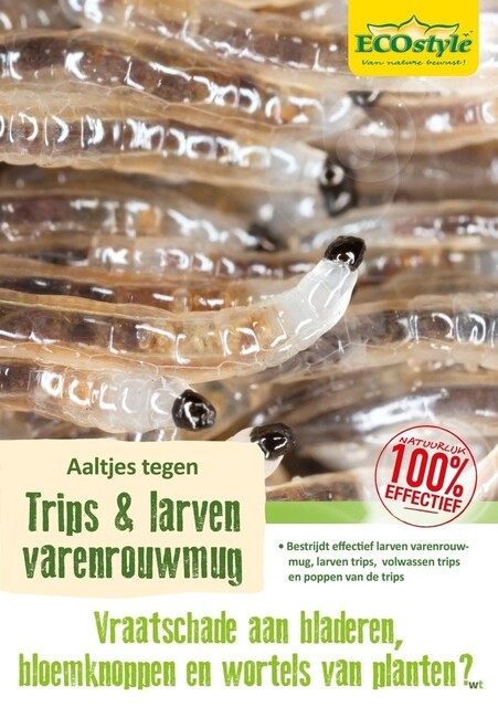 Product image 1 of ECOstyle Aaltjes (F) Bestrijdingsmiddel Tegen Trips Larven - 10m²