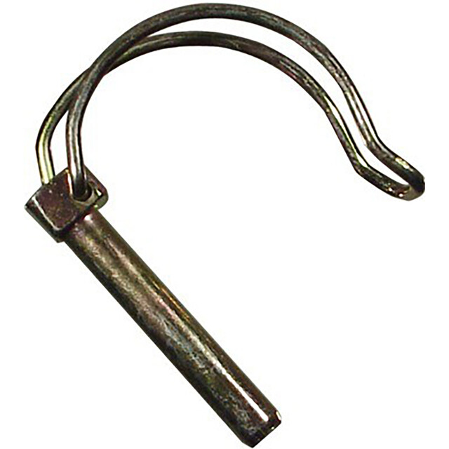 Product image 1 of Buisborgpen Verzinkt  6 x 40 mm