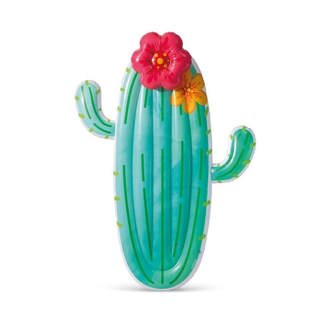 Product image 1 of Intex Drijvende Cactus