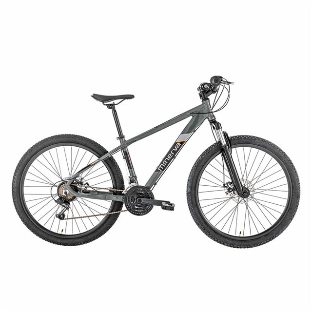 Product image 1 of Minerva 29'' MTB Monster Alu 21V Disk Brakes Antraciet