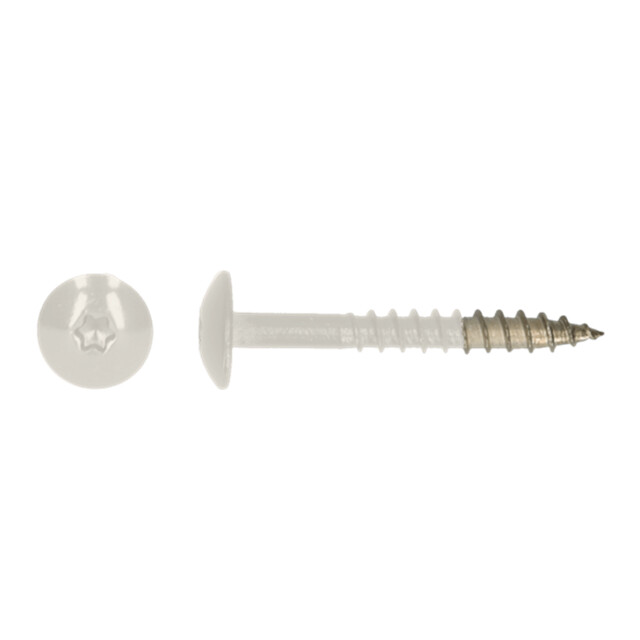 Product image 1 of HPL schroef Tx20 4,8x38 R9010 A4