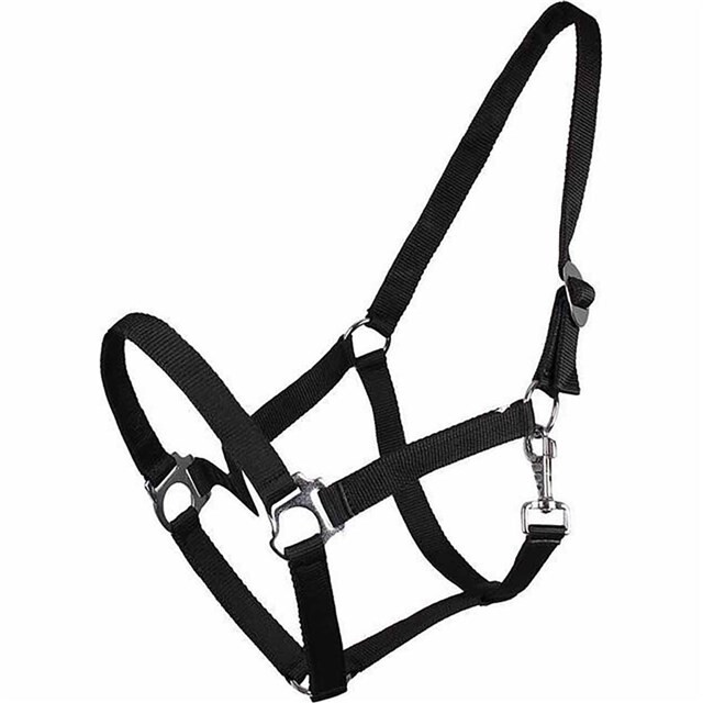 Product image 1 of QHP Halster Schuif Zwart - Xtr. Full