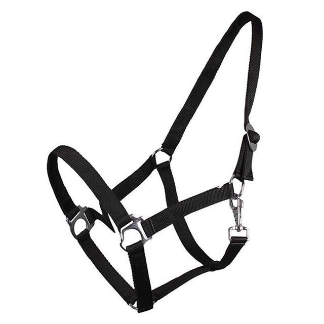 Product image 1 of QHP Halster Schuif Zwart - Mini Shet