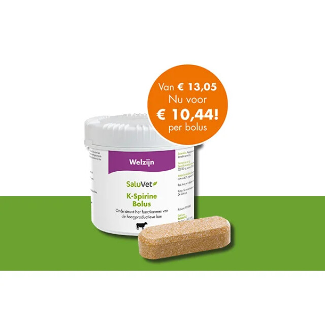 Product image 1 of SaluVet K-Spirine Bolus - 6 x 95 Gram