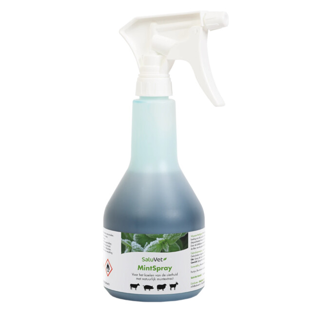 Product image 1 of SaluVet MintSpray - 500 ml