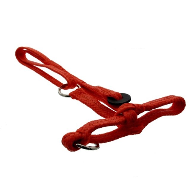 Product image 1 of HALSTER KOE NYLON ORANJE