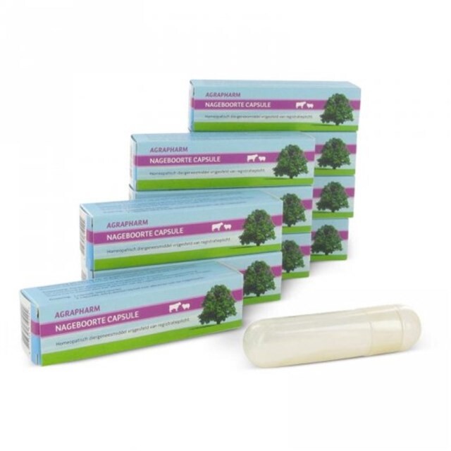 Product image 1 of Nageboorte capsule doos à 10 stuks agrapharm