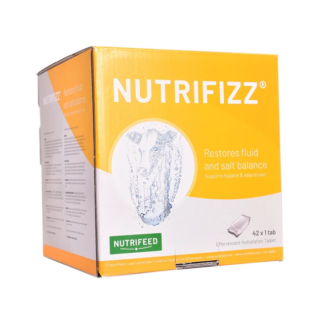 Product image 1 of NUTRIFIZZ BRUISTABLET 42 TABS