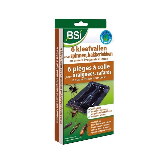 Product image 1 of BSI Kleefvallen tegen Spinnen - 6 stuks