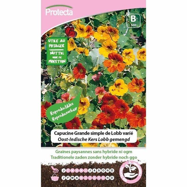 Product image 1 of Protecta Bloemzaden Oost-Indische Kers Lobb Gemengd - Kapucijnbloem