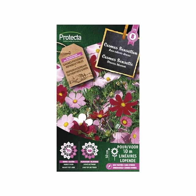 Product image 1 of Protecta Bloemzaden Cosmos Sensatie Gemengd 