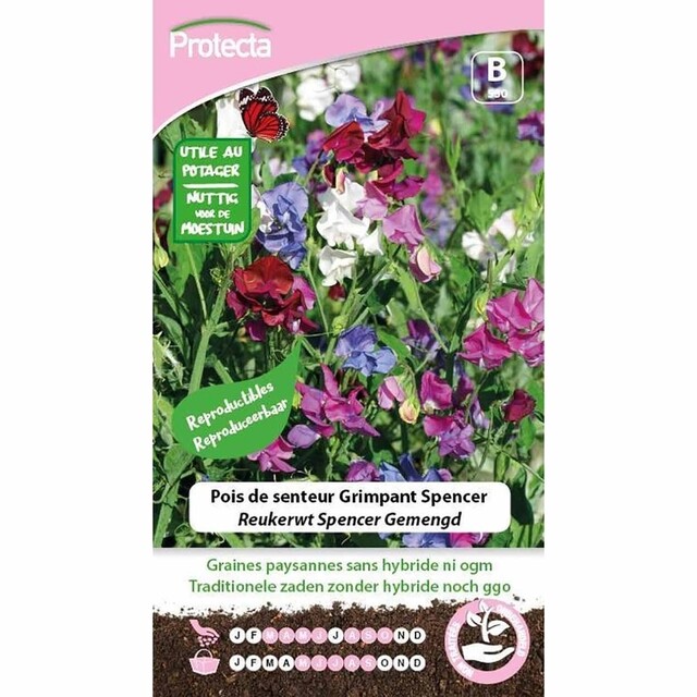 Product image 1 of Protecta Bloemzaden Reukerwt Spencer Gemengd 