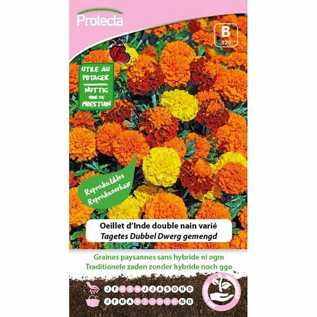 Product image 1 of Protecta Bloemzaden Tagetes Dubbel Dwerg Gemengd - Afrikaantjeszaad