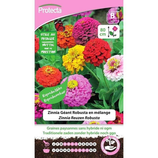 Product image 1 of Protecta Bloemzaden Zinnia Reuzen Robusta - Californische Reuzen