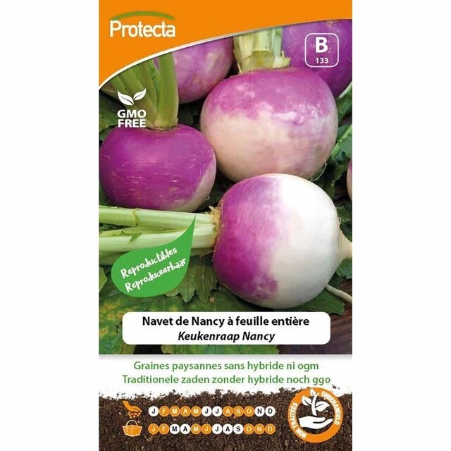 Product image 1 of Protecta Groente Zaden Keukenraap - Nancy