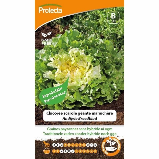 Product image 1 of Protecta Groente Zaden Andijvie  - Breedblad