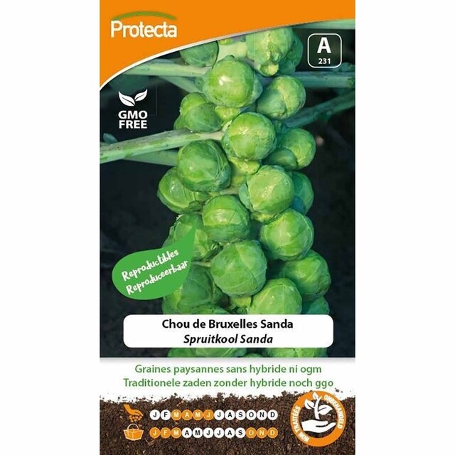 Product image 1 of Protecta Groente Zaden Spruiten - Brussels