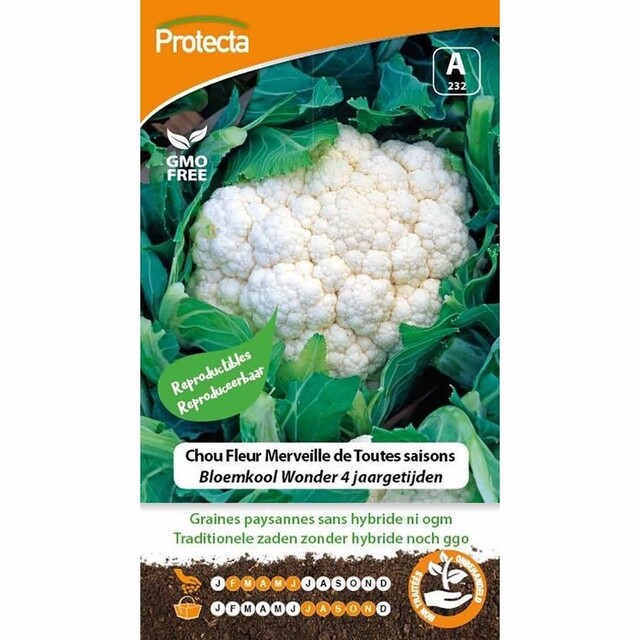 Product image 1 of Protecta Groente Zaden Bloemkool Wonder der 4 Jaargetijden