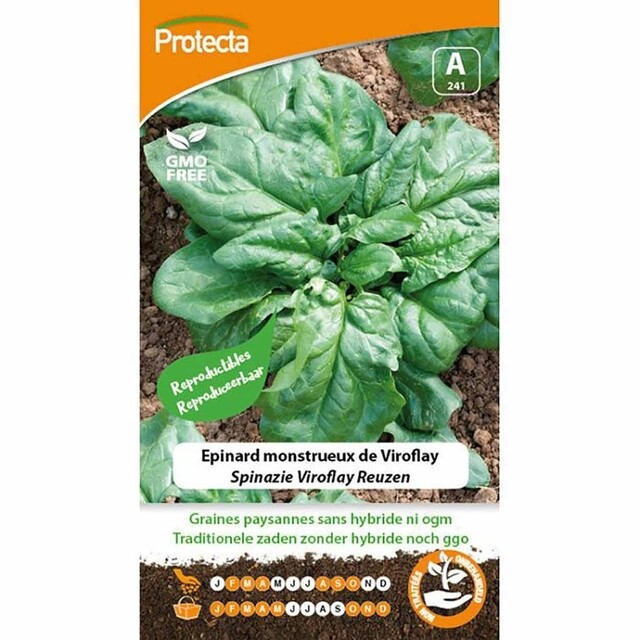 Product image 1 of Protecta Groente Zaden Spinazie - Viroflay Reuzen