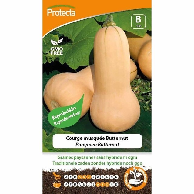 Product image 1 of Protecta Groente Zaden Pompoen - Butternut