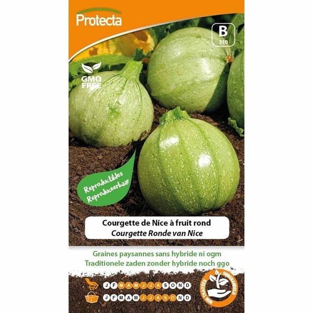 Product image 1 of Protecta Groente Zaden Courgette - Ronde van Nice