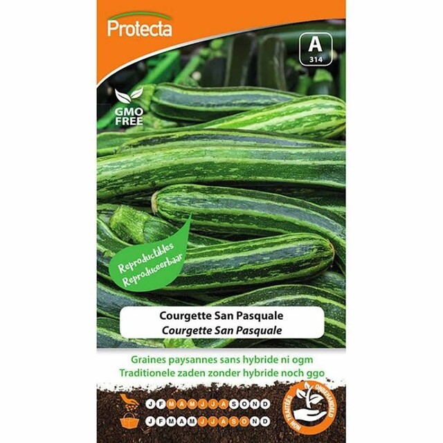 Product image 1 of Protecta Groente Zaden Courgette - San Pasquale