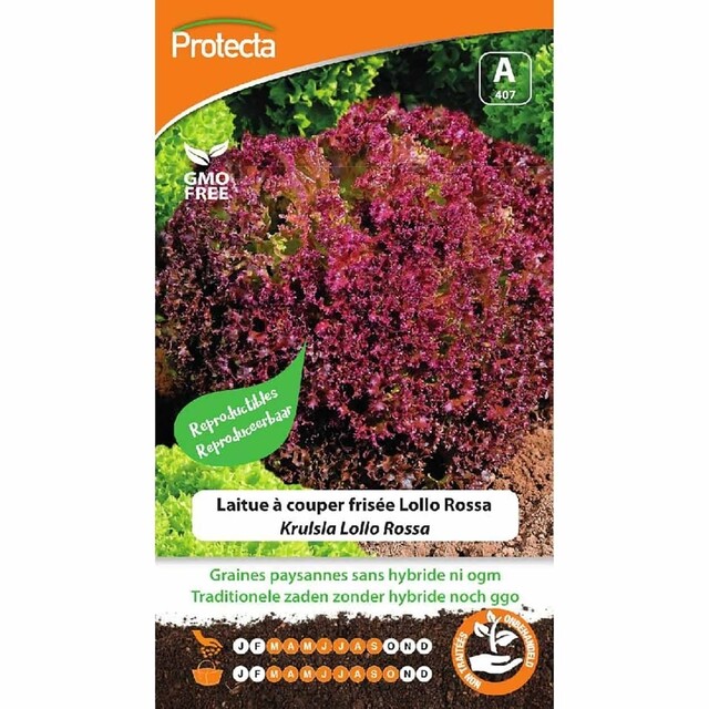 Product image 1 of Protecta Groente Zaden Krulsla - Lollo Rossa