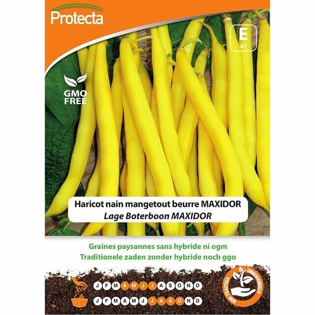 Product image 1 of Protecta Groente Zaden Lage Boterboon - Maxidor