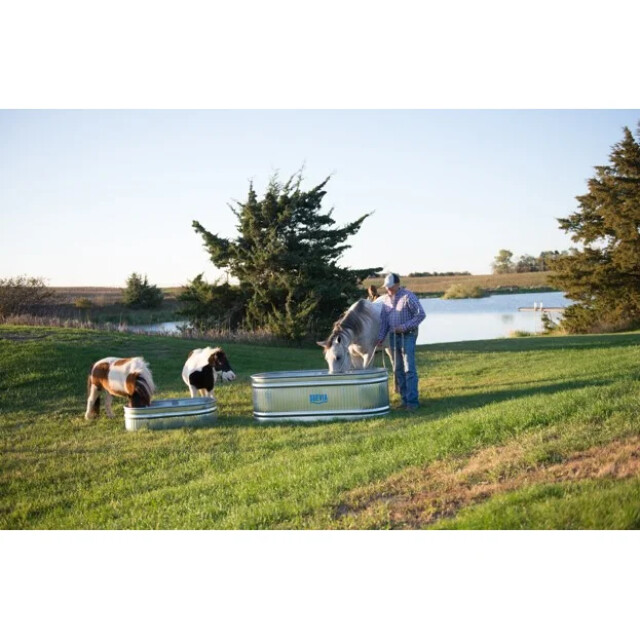 Product image 1 of Suevia Ovalen Stocktank Weidedrinkbak - Staal - 1115 Liter