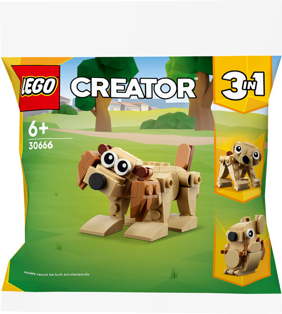 Product image 1 of LEGO Creator 30666 - Cadeaudieren