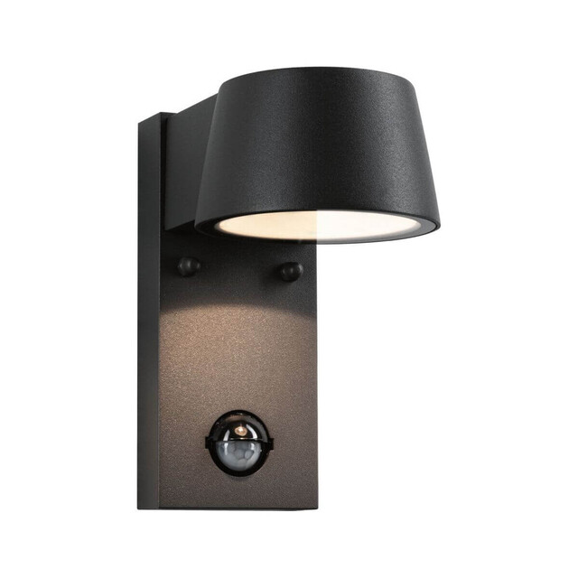 Product image 1 of Paulmann Buitenlamp Met Bewegingsmelder Capea 230 V Zwart