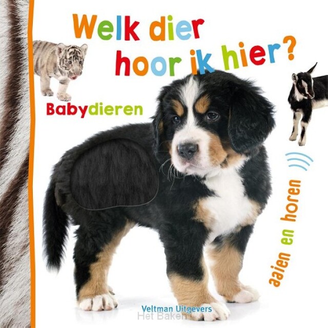 Product image 1 of Welk Dier Hoor Ik Hier? Babydieren