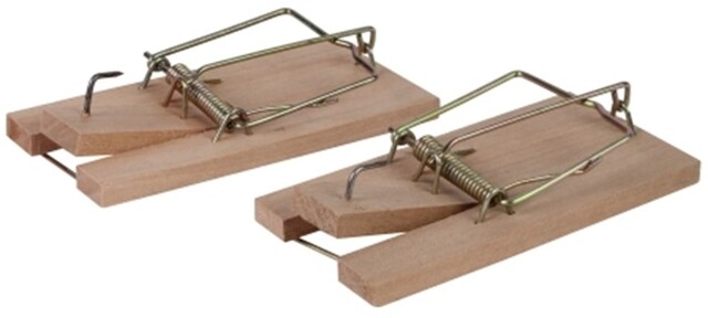 Product image 1 of Talen Tools Muizenval Hout 2 Stuks