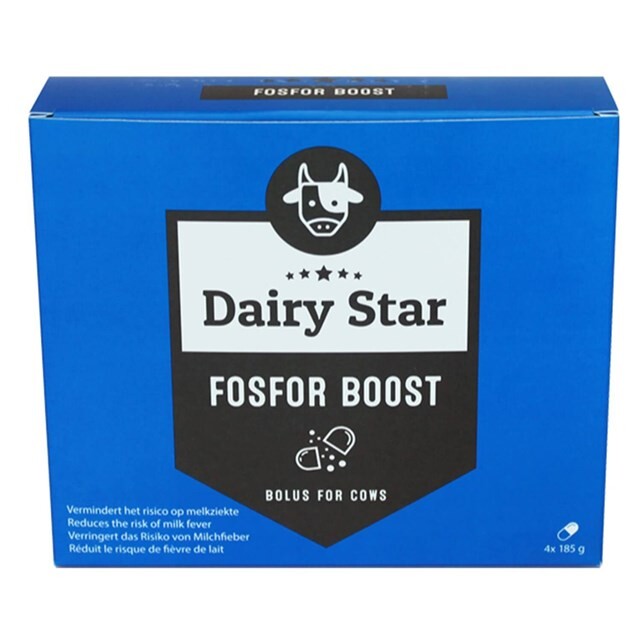 Product image 1 of Dairy Star Fosfor Boost Bolus