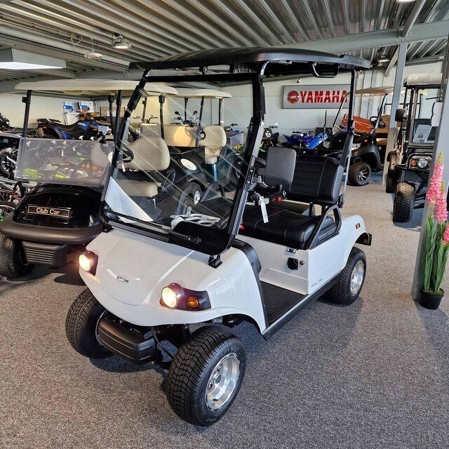 Product image 1 of Bensel Golfcar Standard 2 Seater Met Kenteken BSN2RO