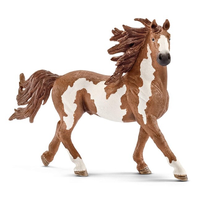 Product image 1 of schleich FARM WORLD Pinto hengst - 13794