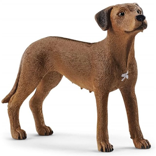 Product image 1 of schleich FARM WORLD Rhodesische ridgeback - 13895