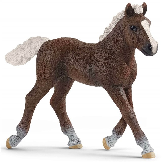 Product image 1 of schleich FARM WORLD Schwarzwälder veulen - 13899