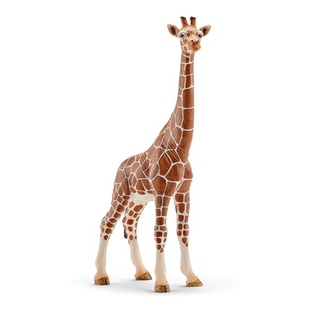 Product image 1 of schleich WILD LIFE Wijfjesgiraf - 14750