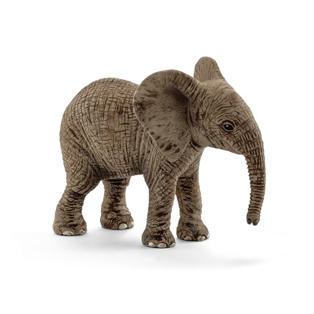 Product image 1 of schleich WILD LIFE Afrikaanse olifantenbaby - 14763