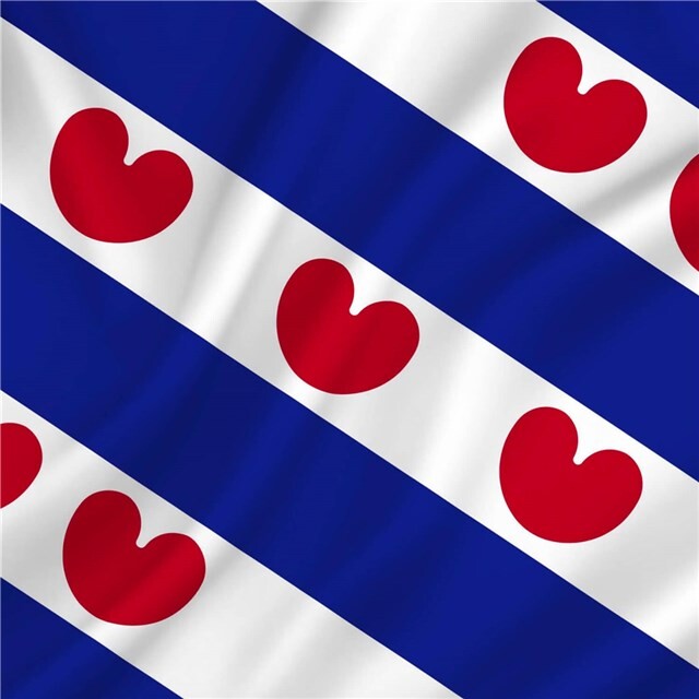 Product image 1 of Vlag Friesland 70 x 100 CM